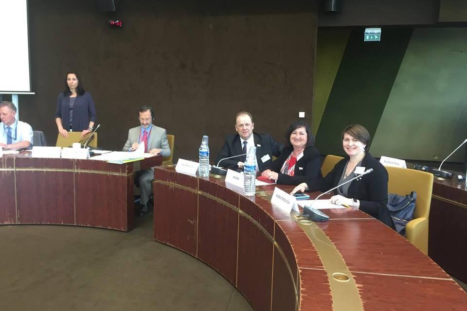 Беларуская "дэлегацыя" ў ПАСЕ — Танняна Караткевіч Гавары праўду), дэпутаты парламенту Алена Анісім і Андрэй Навумовіч, фота са старонкі Юрася Губарэвіча ў Фэйсбуку Беларуская "дэлегацыя" ў ПАСЕ — Танняна Караткевіч Гавары праўду), дэпутаты парламенту Алена Анісім і Андрэй Навумовіч, фота са старонкі Юрася Губарэвіча ў Фэйсбуку