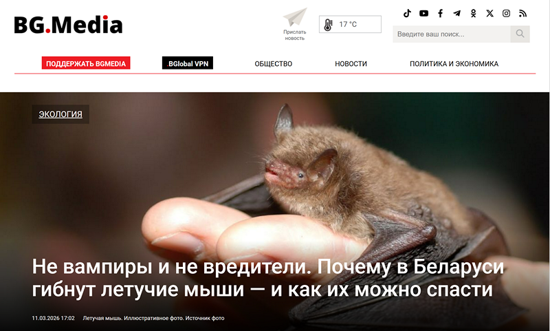 BGmedia вокладка